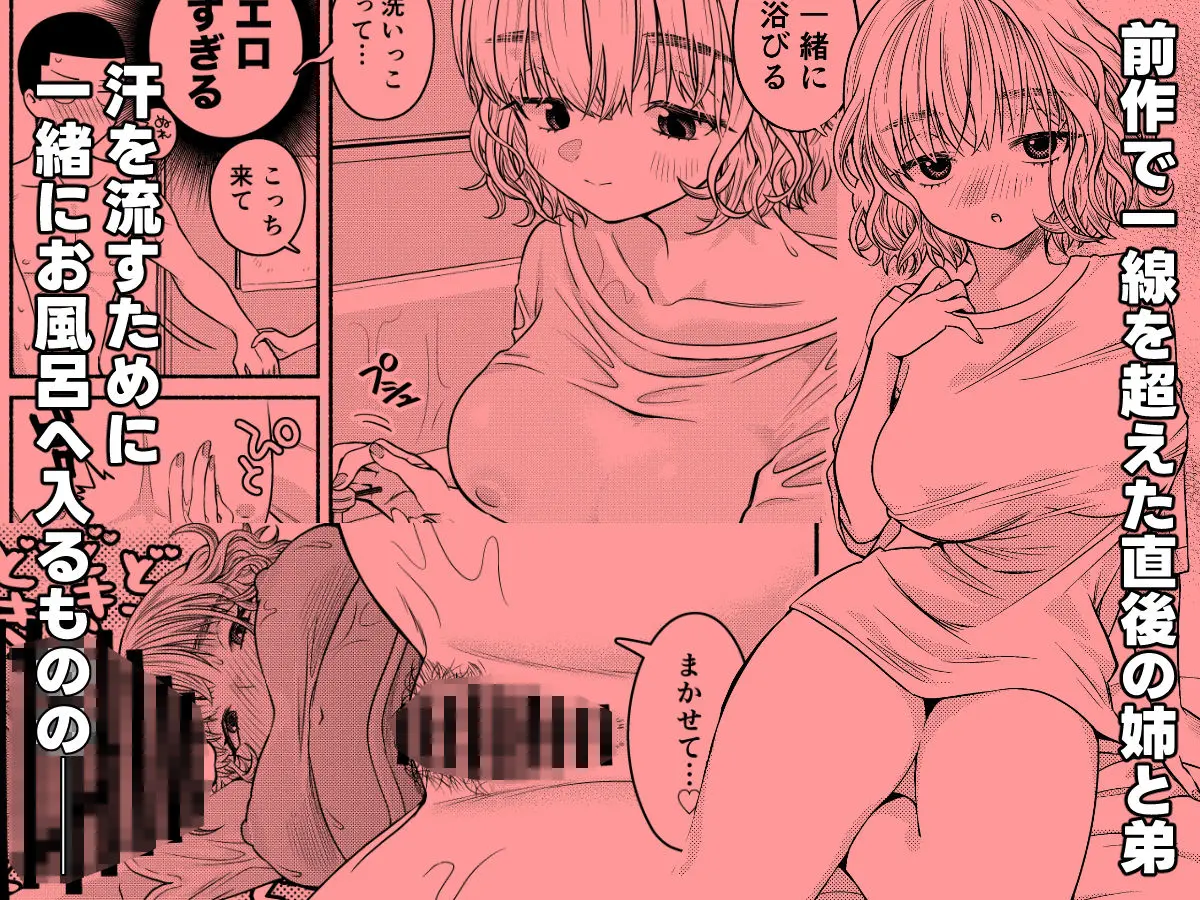 同棲してる姉と弟2タガが外れてヤリ部屋化 画像1