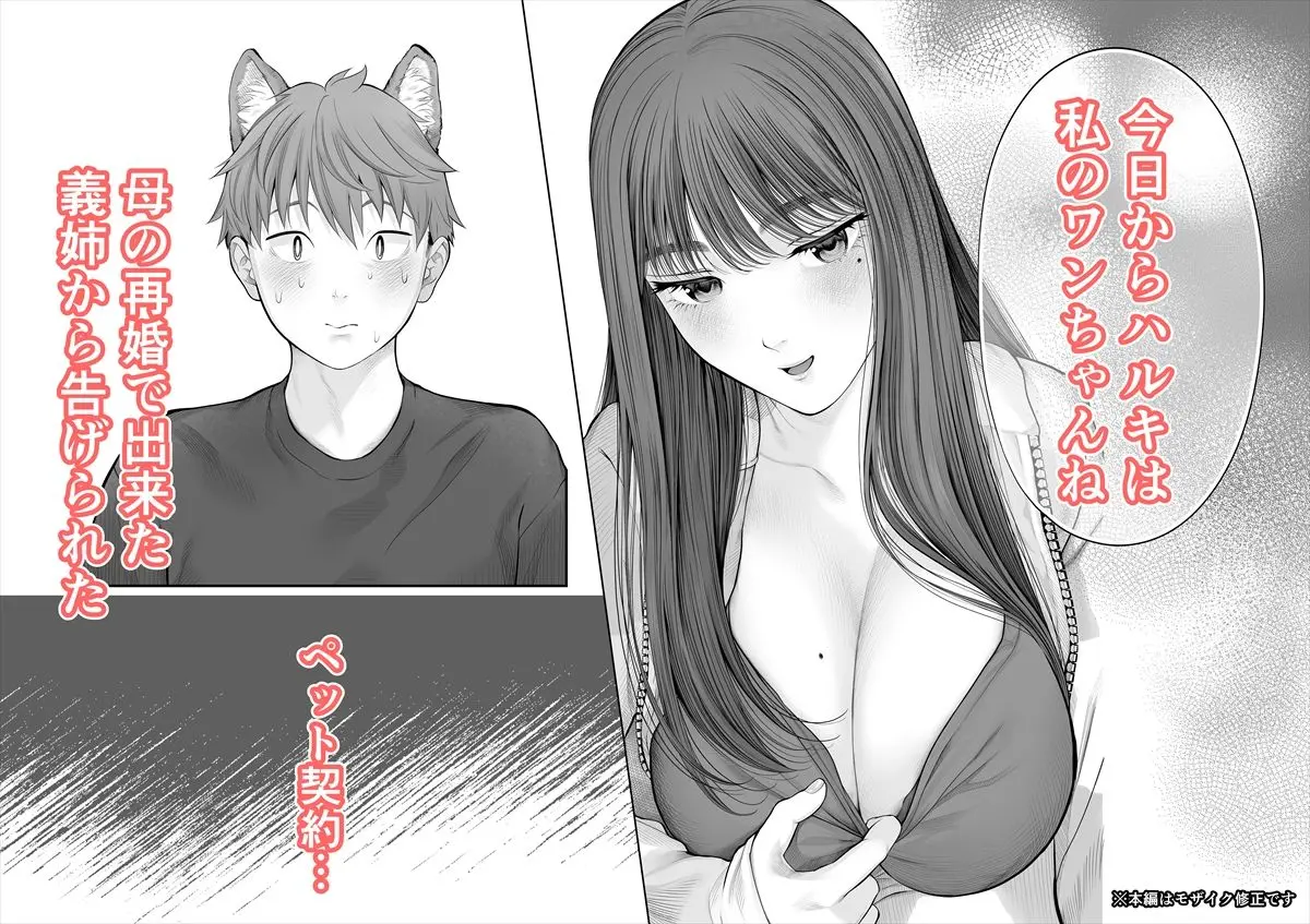 姉犬-義姉は家族でえっちなご主人様- 画像1