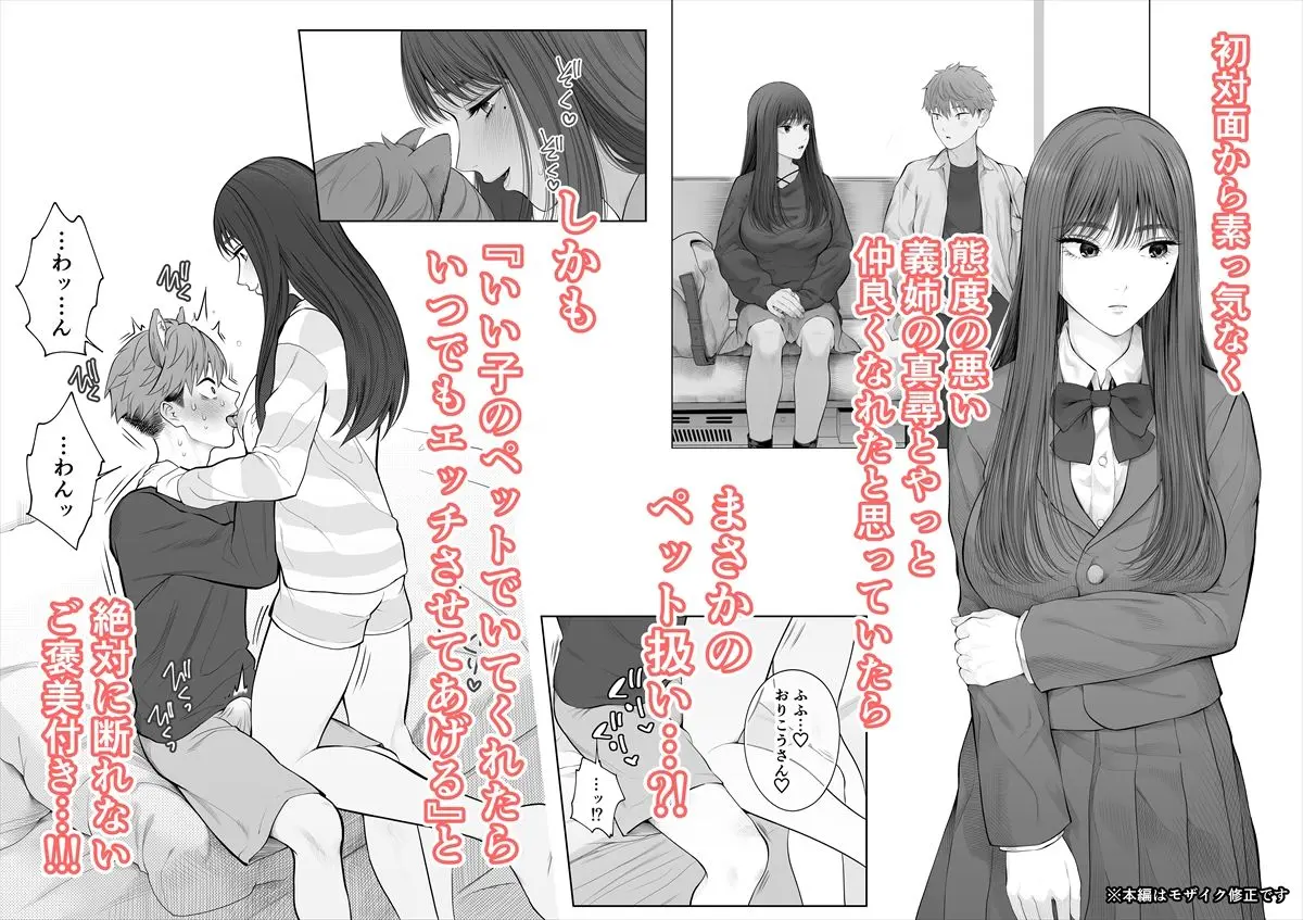 姉犬-義姉は家族でえっちなご主人様- 画像2