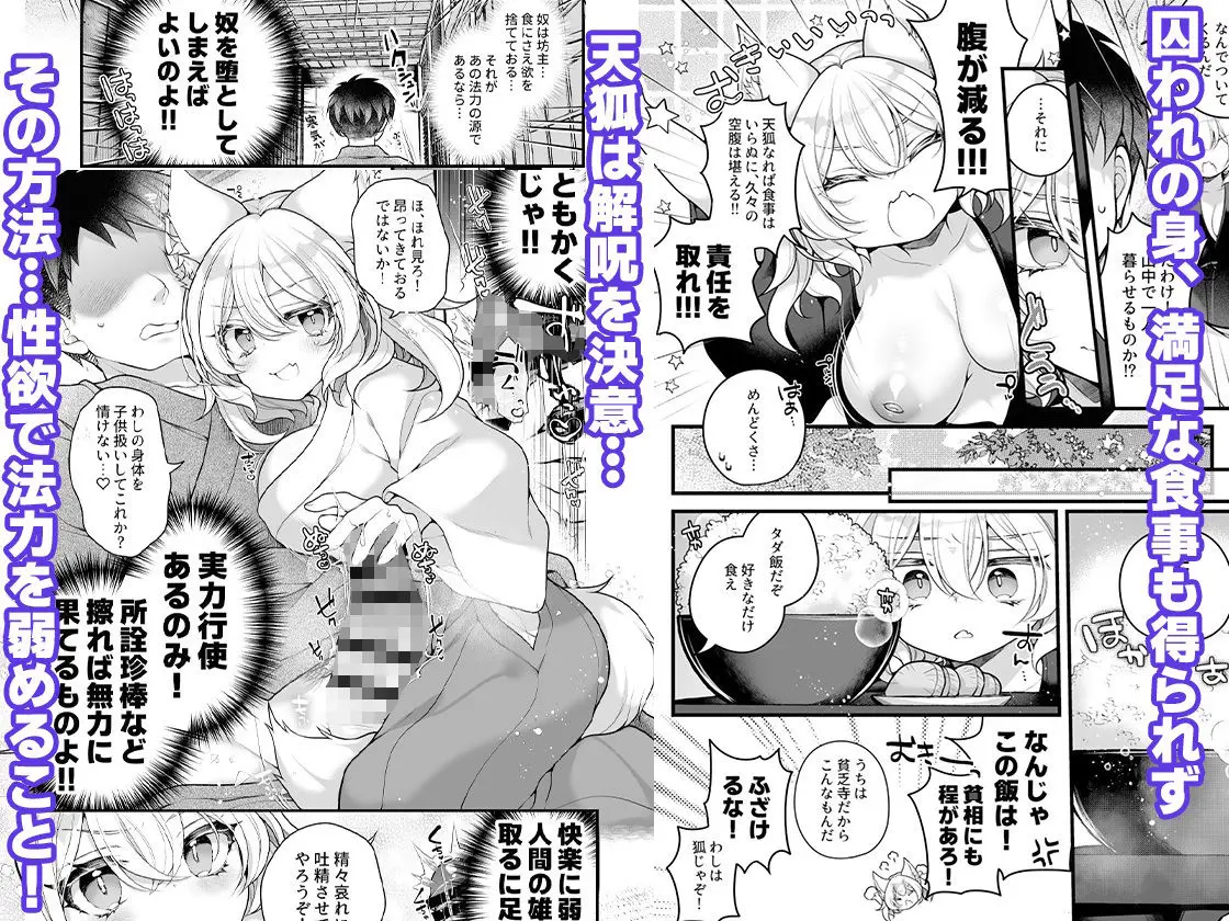 一千年を生きる天狐のわしが人の子など孕みとうない！！ 画像2