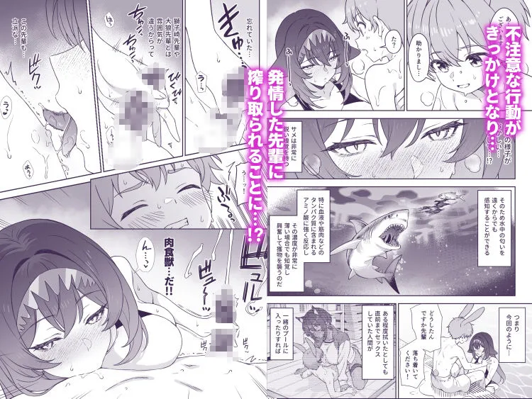 ほしょくくらぶ2 画像4