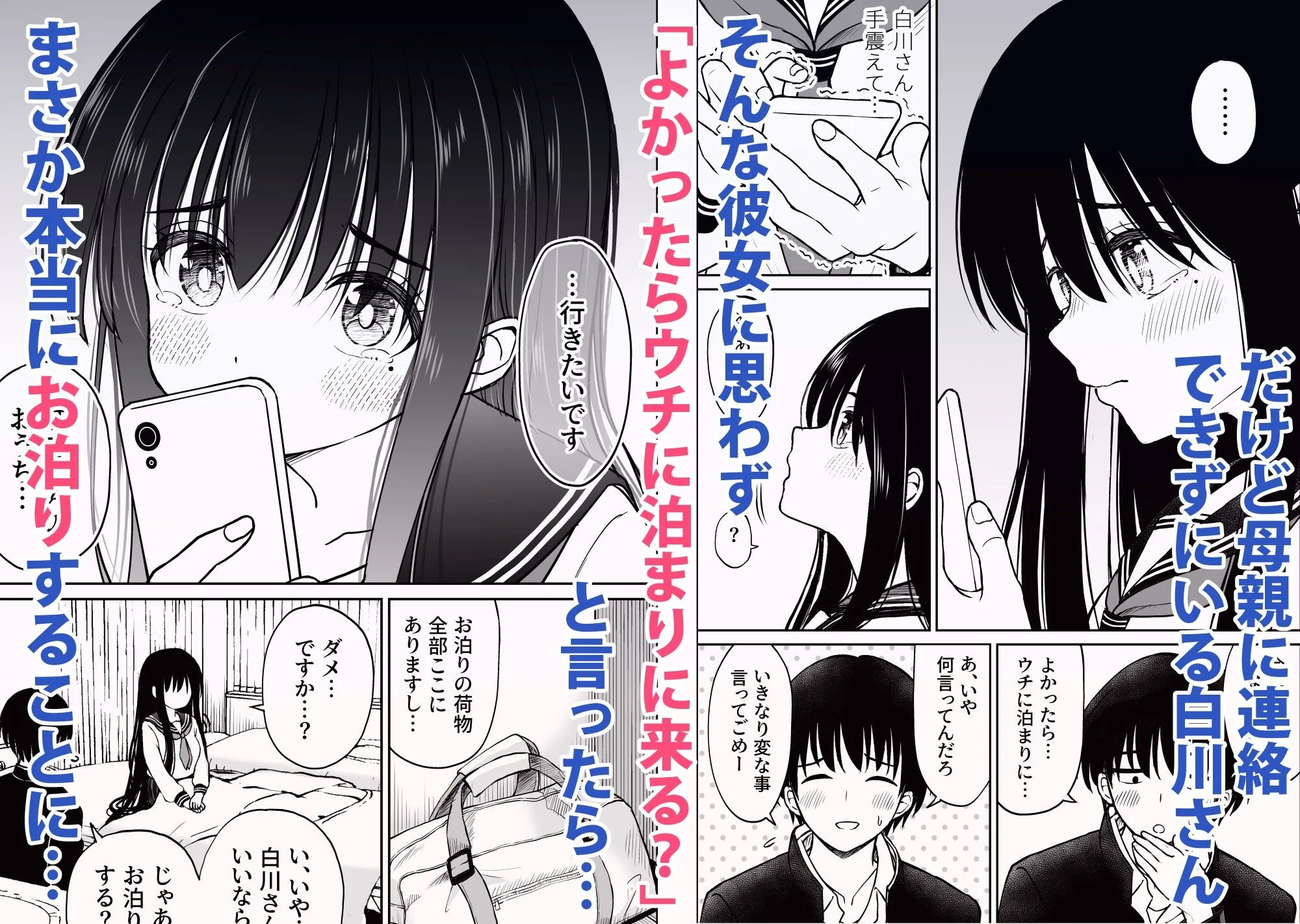 裏修学旅行日記〜青春できない僕らの、秘密の2泊3日〜 画像2