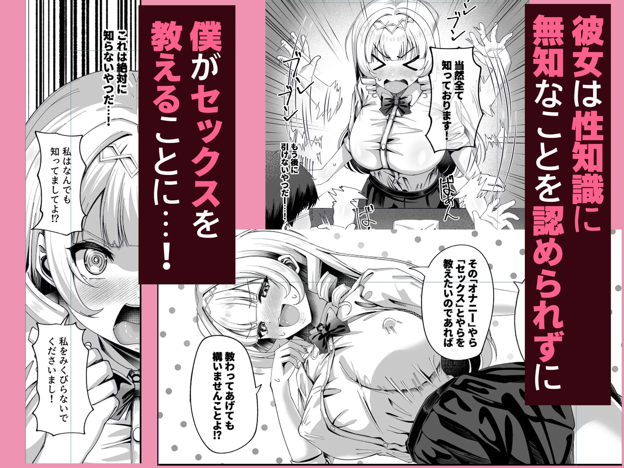 性知識にだけ無知すぎるお嬢様 画像3