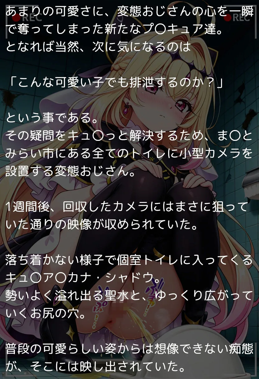 名探偵プ〇キュア排泄調教 〜怪盗団の女の子がスカトロプレイの快楽に目覚めるまで〜 画像1