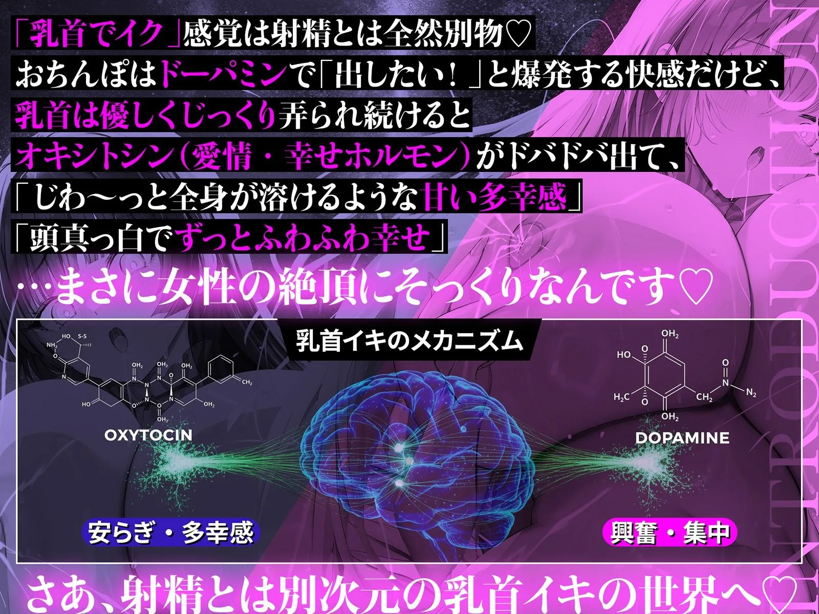 乳首で【イク】！メソッド」〜初心者から上級者まで本当に誰でも乳首でイケる『実用』開発メソッド完全版 画像2