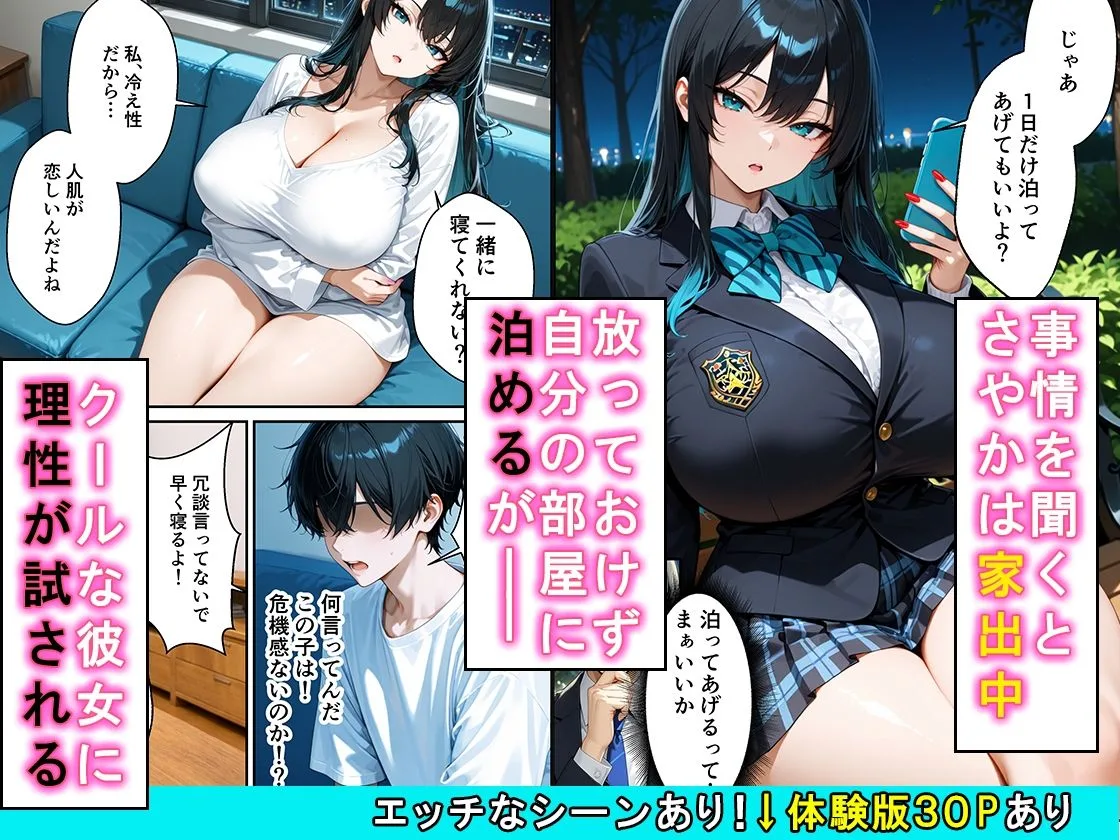 家出したクールなギャルを拾ったらベタ惚れされてイチャラブセックスした話 画像2