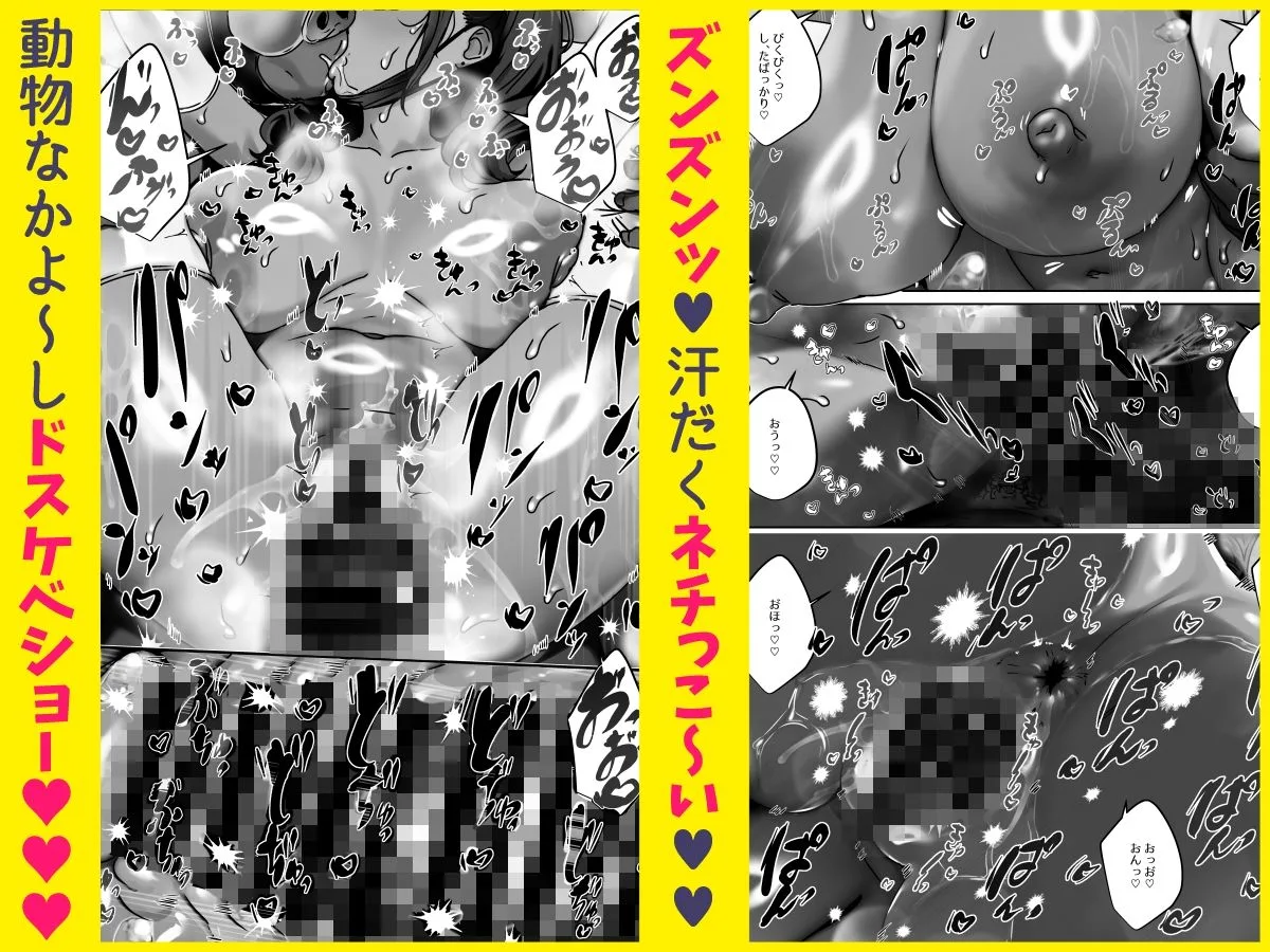 女体化ドバイヤギの動物なかよしショー 画像5