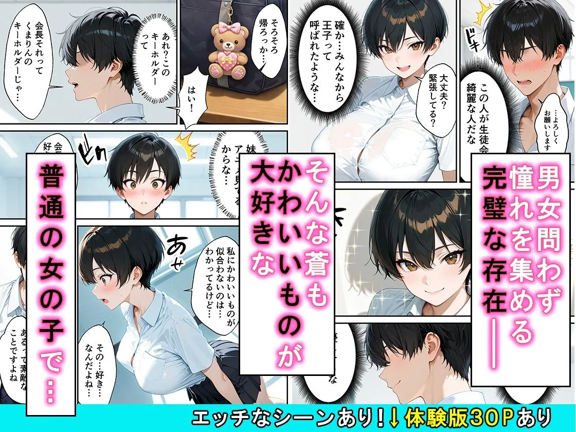 女の子扱いされたい王子様な生徒会長があまあま中出しセックスでメスになる話 画像2