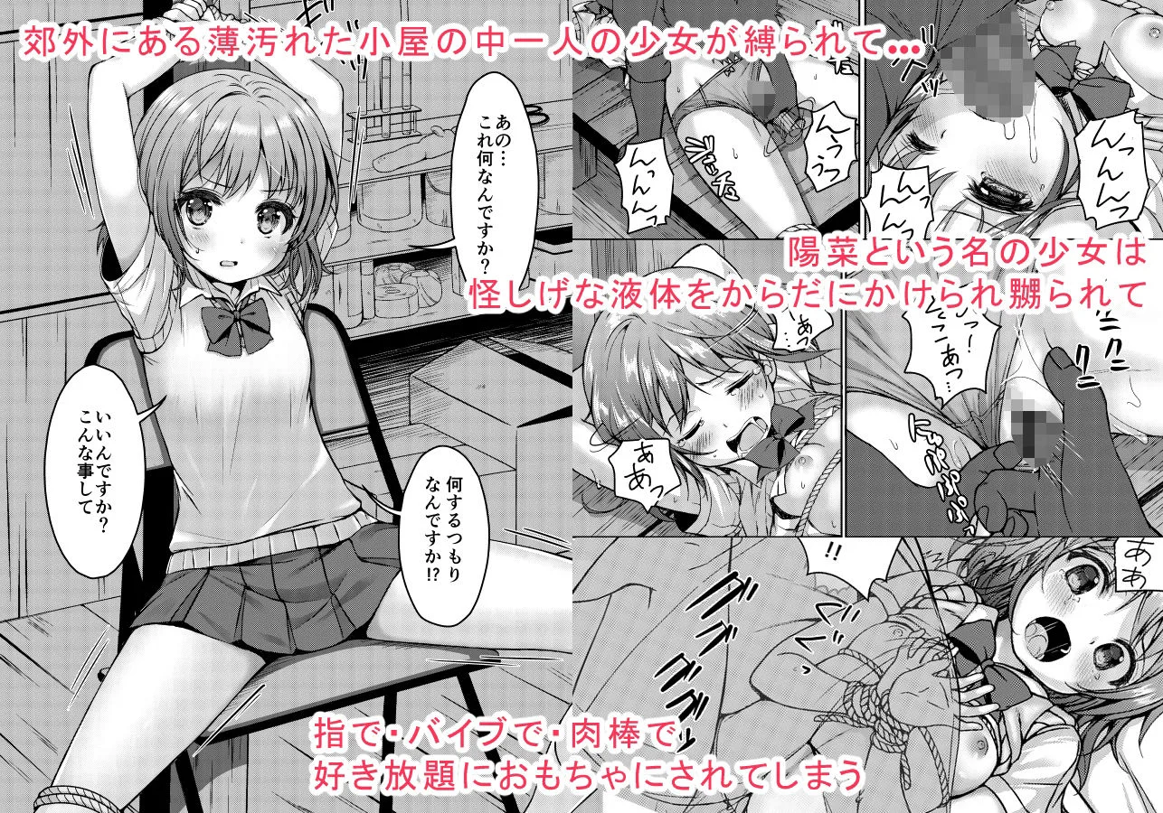 大人用のおもちゃ総集編 画像2