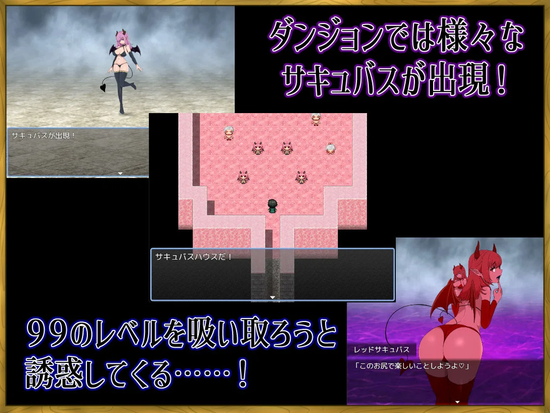 LV99チート勇者の俺がサキュバスなんかに敗けるわけない 画像2