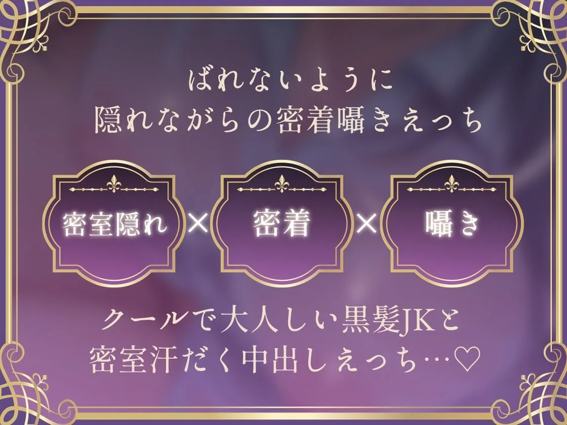 【密着囁き】バレるな。〜隠れながら黒髪クールJKと夏の汗だく密着耳元無言セックス〜 画像3